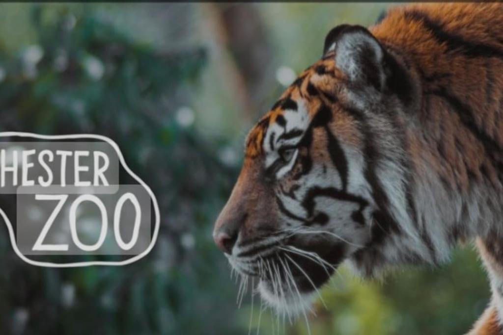The Beautiful Bungalow Amazing Location For Chester & Zoo Wervin Ngoại thất bức ảnh